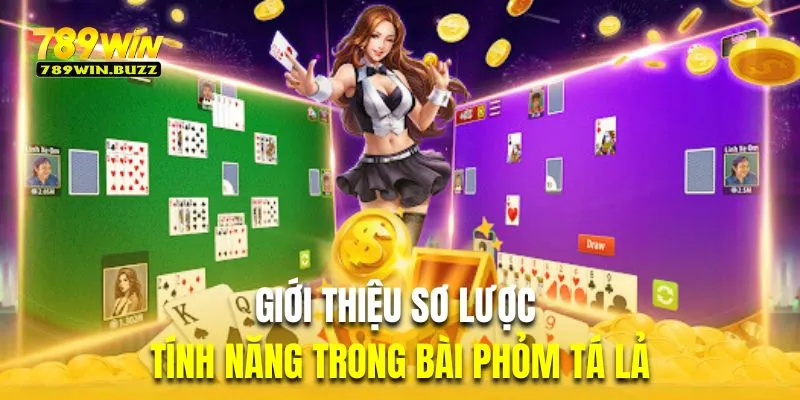 Giới thiệu sơ lược về những tính năng trong bài phỏm